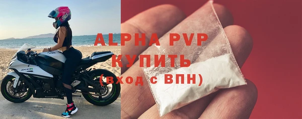 индика Вязьма