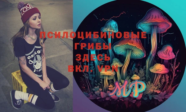героин Вяземский