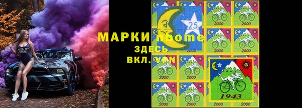 индика Вязьма