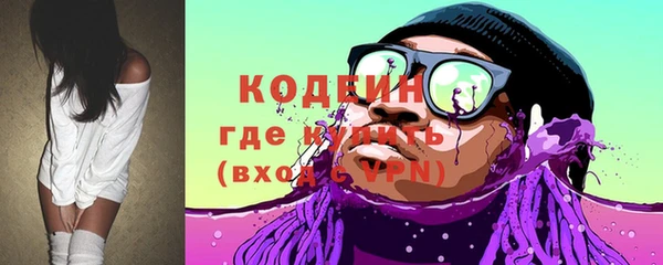 индика Вязьма
